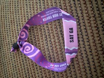 Saturday Lollapalooza GA pass