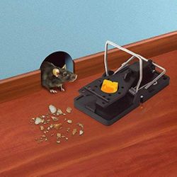 WHOLESALE Mouse Traps Walk the Plank Size 3.8 x 1.8 inch, Easy To Set Up 24pcs/Pack