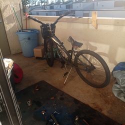 Girls Electra beach cruiser