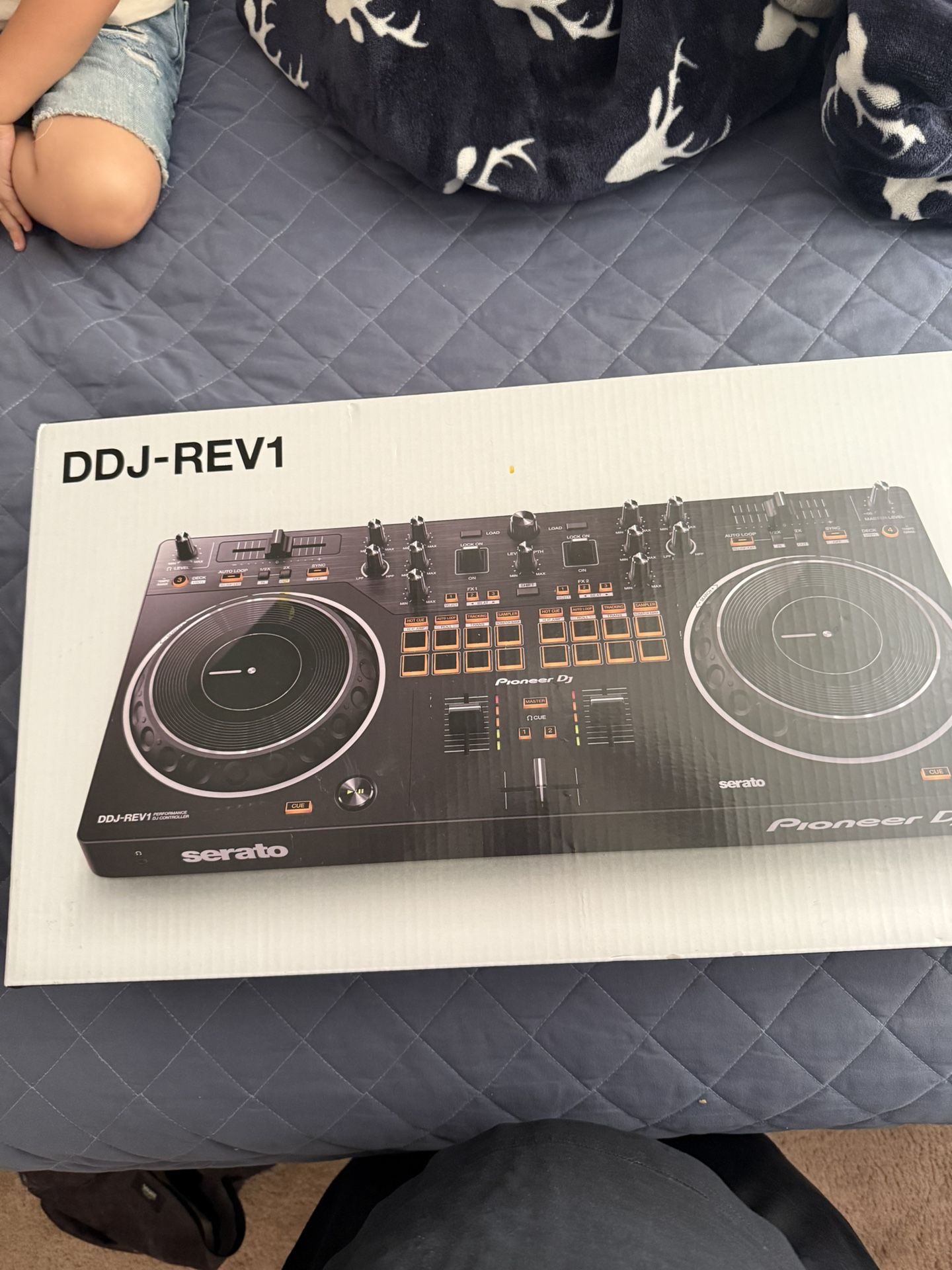 Pioneer DDJ-REV1
