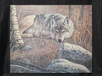 Wolf Wildlife Canvas Print Wall Art