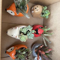 Animal Planters