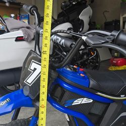 Elemara Electric Dirt Bike