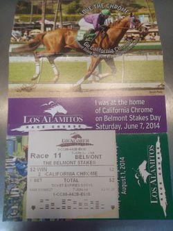 California Chrome 2014 Belmont Stakes