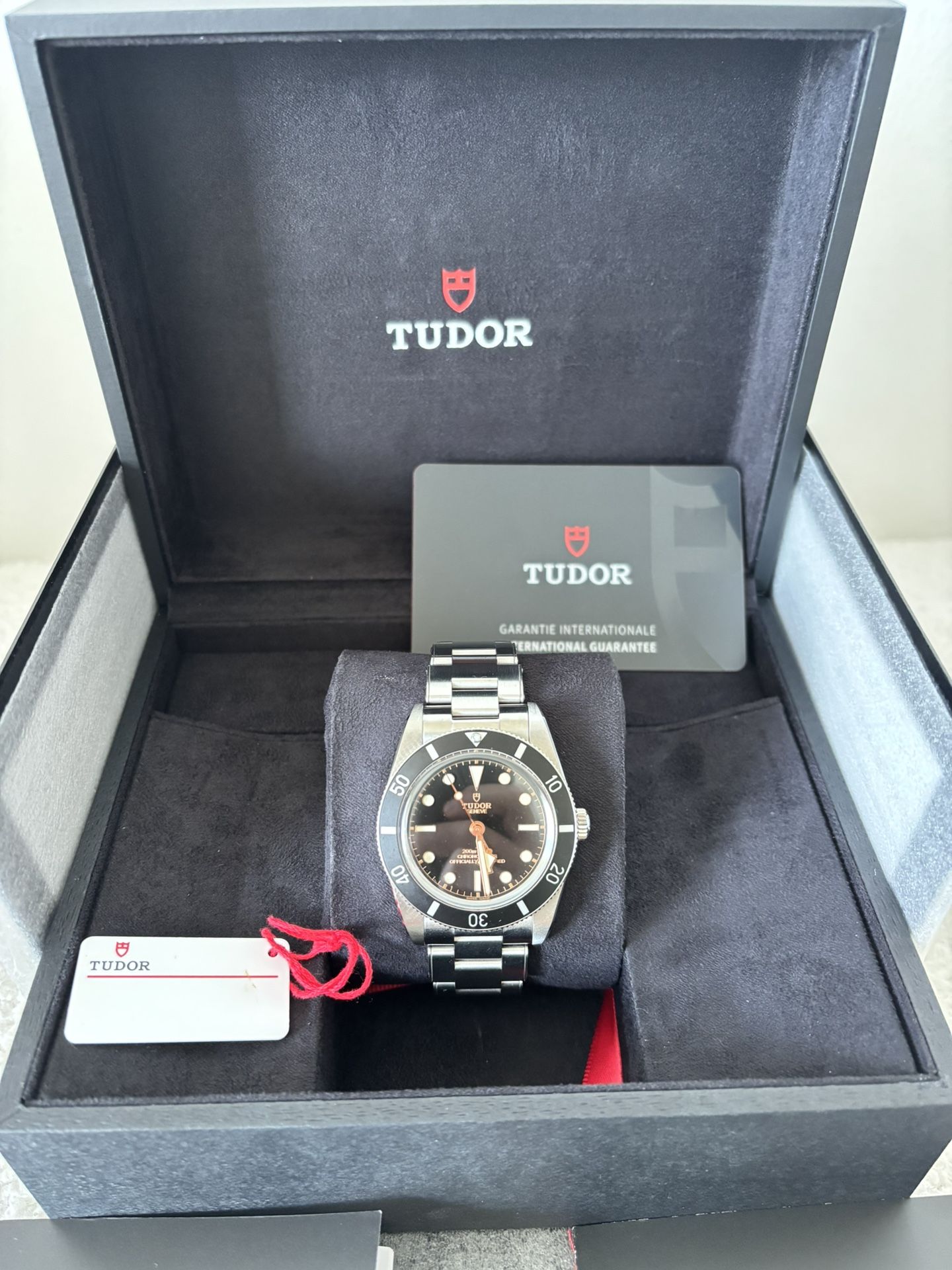 Tudor Black Bay 54 - Full Set