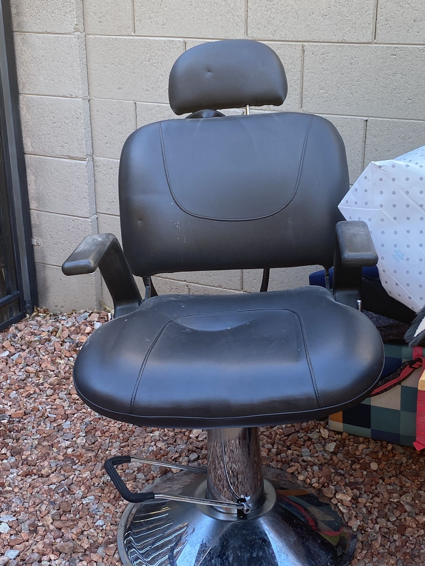 Salon Chair