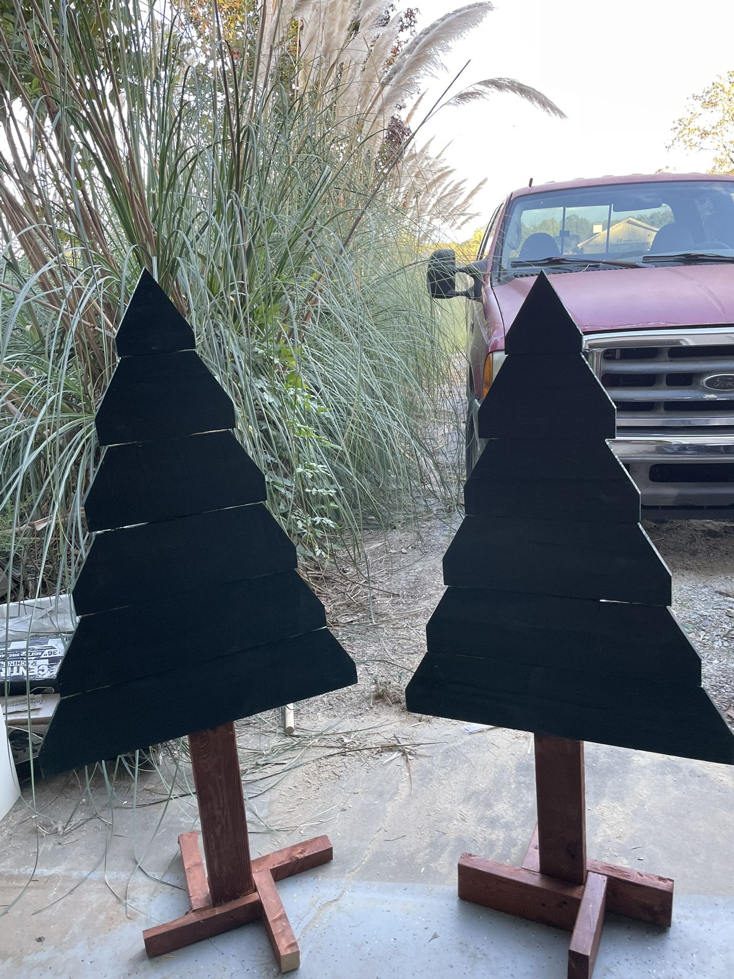 Indoor Or Outdoor Christmas Trees