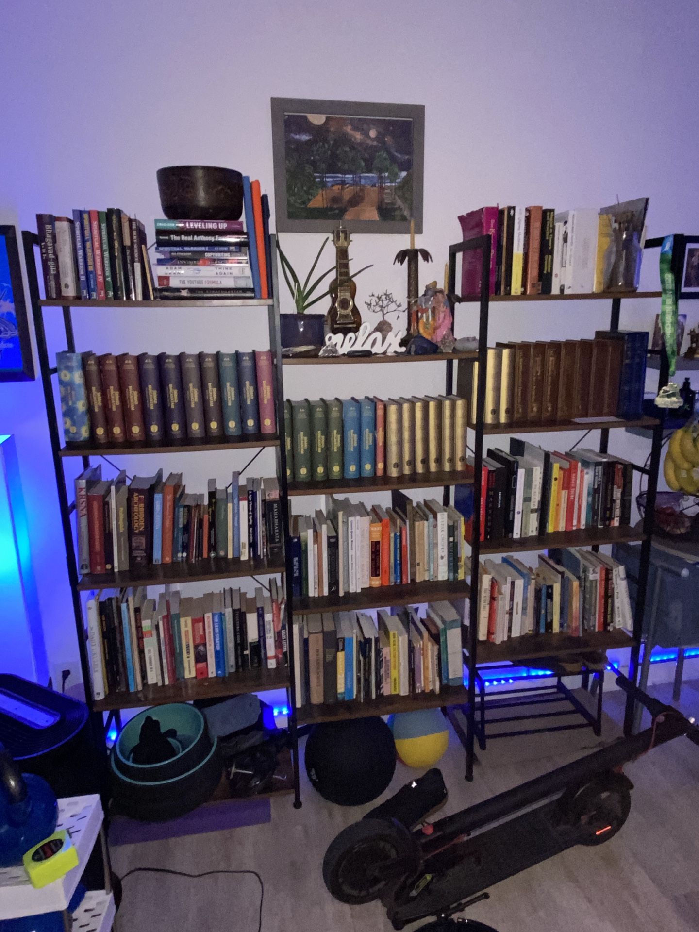 5 Tier Bookshelves 