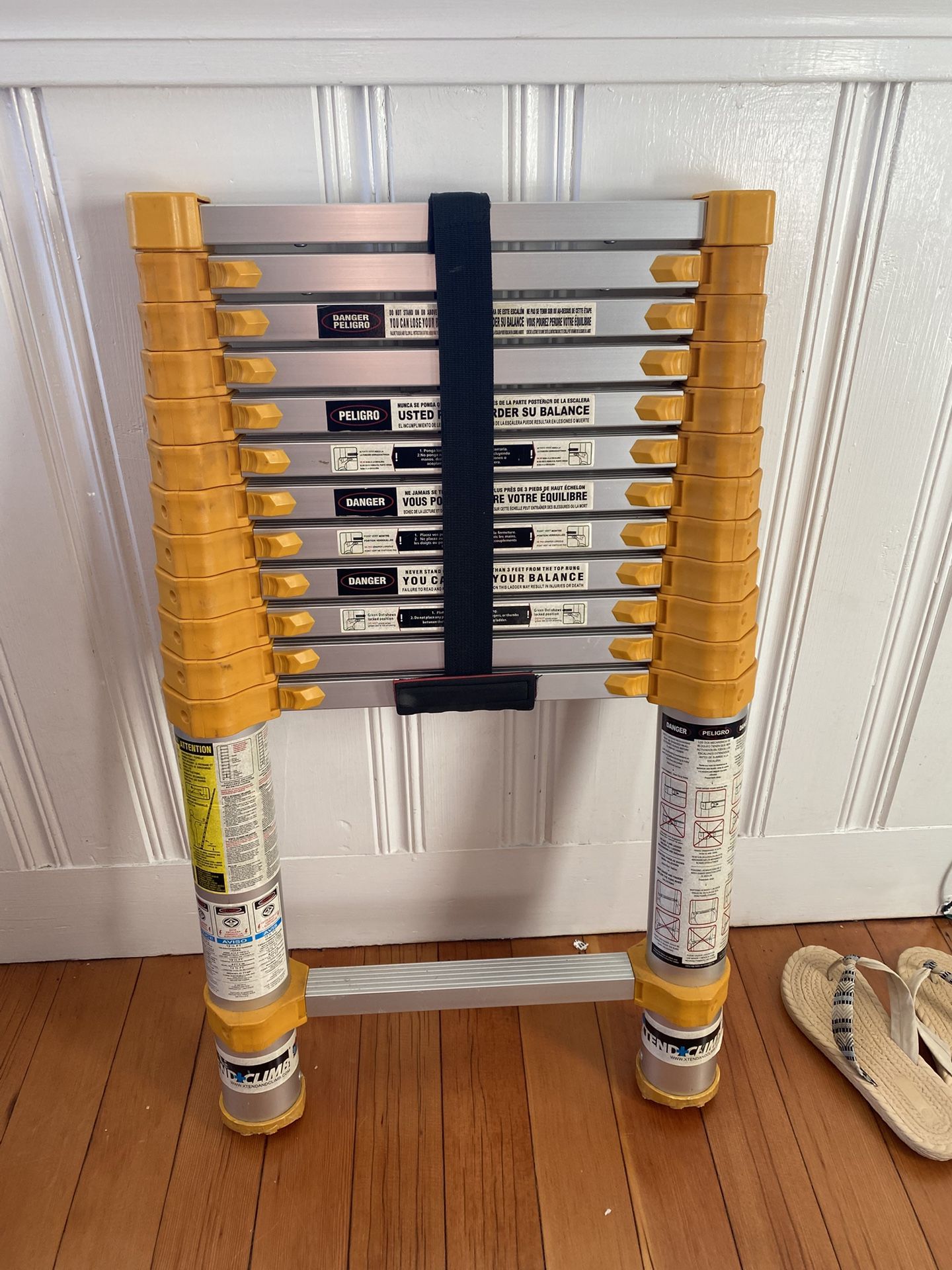 Telescoping Ladder