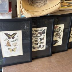 ( 4) BEAUTIFULLY FRAMED, MATCHING VARIOUS BUTTERFLY “ Wall Decor “ - XLNT— REDUCED FOR FAST SALE  👍👍 Potential🦋🦋🦋🦋