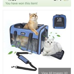 baby house for 2 cats 