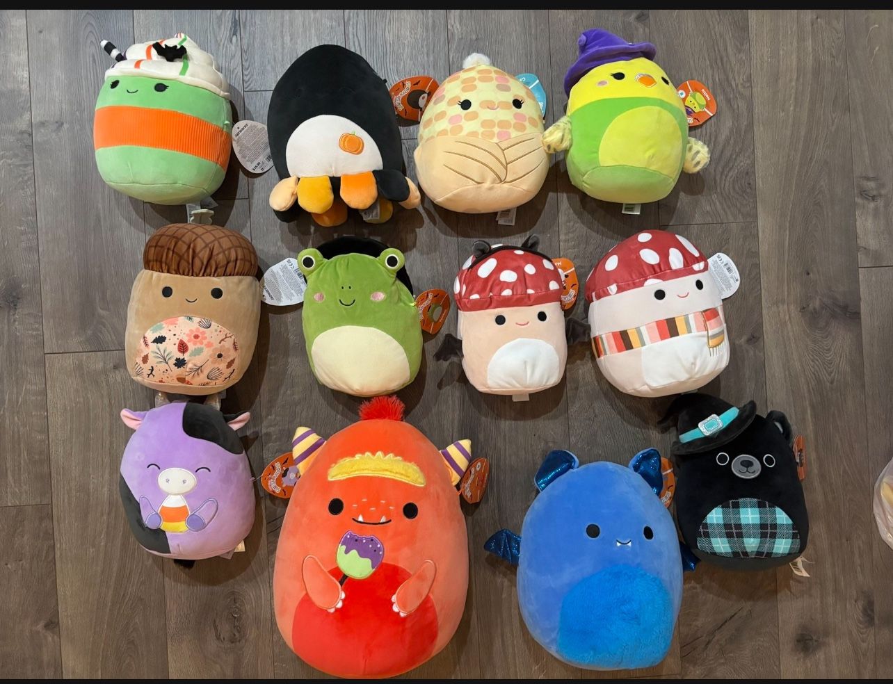 Lots of 12 various sizes, Halloween Squishmallow