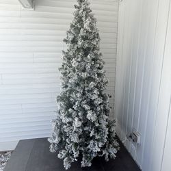 christmas tree