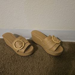 $5 Wedge Sandels 