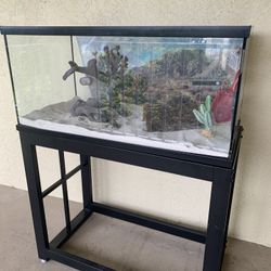 Reptile Tank And Set Up