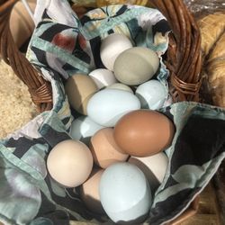 Fresh Farm Eggs + Goats Milk