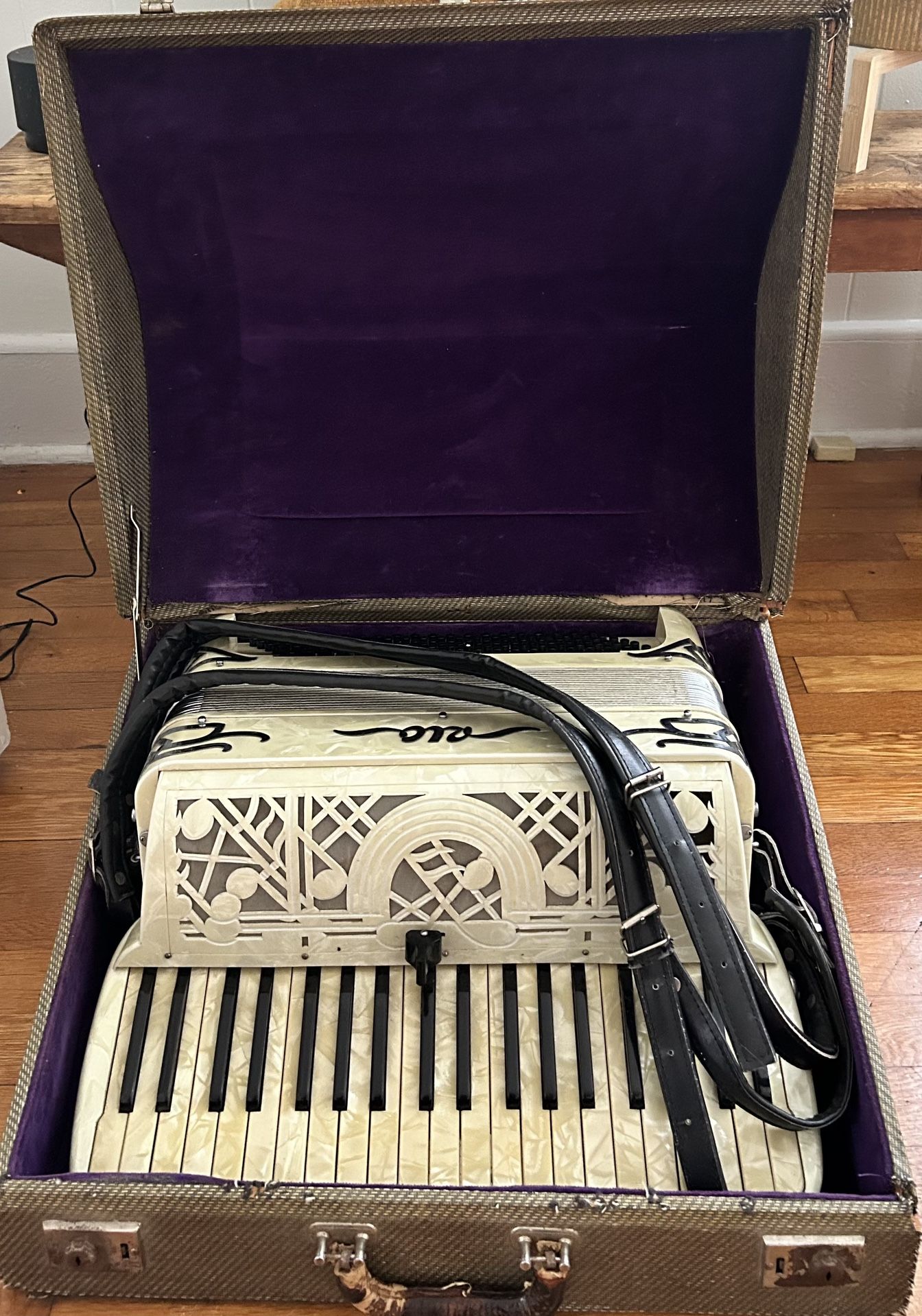 Vintage Rio Accordion , Pearl 