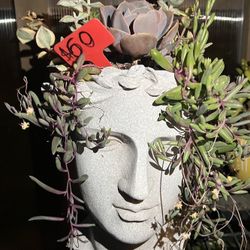 Large Head Planter