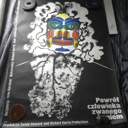 Very Famous Ewa Procka Original Polish Poster from 1978, 26x38"