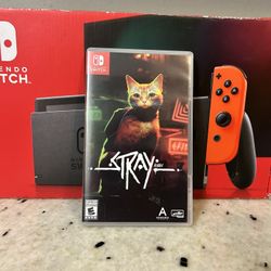 Stray for the Nintendo Switch