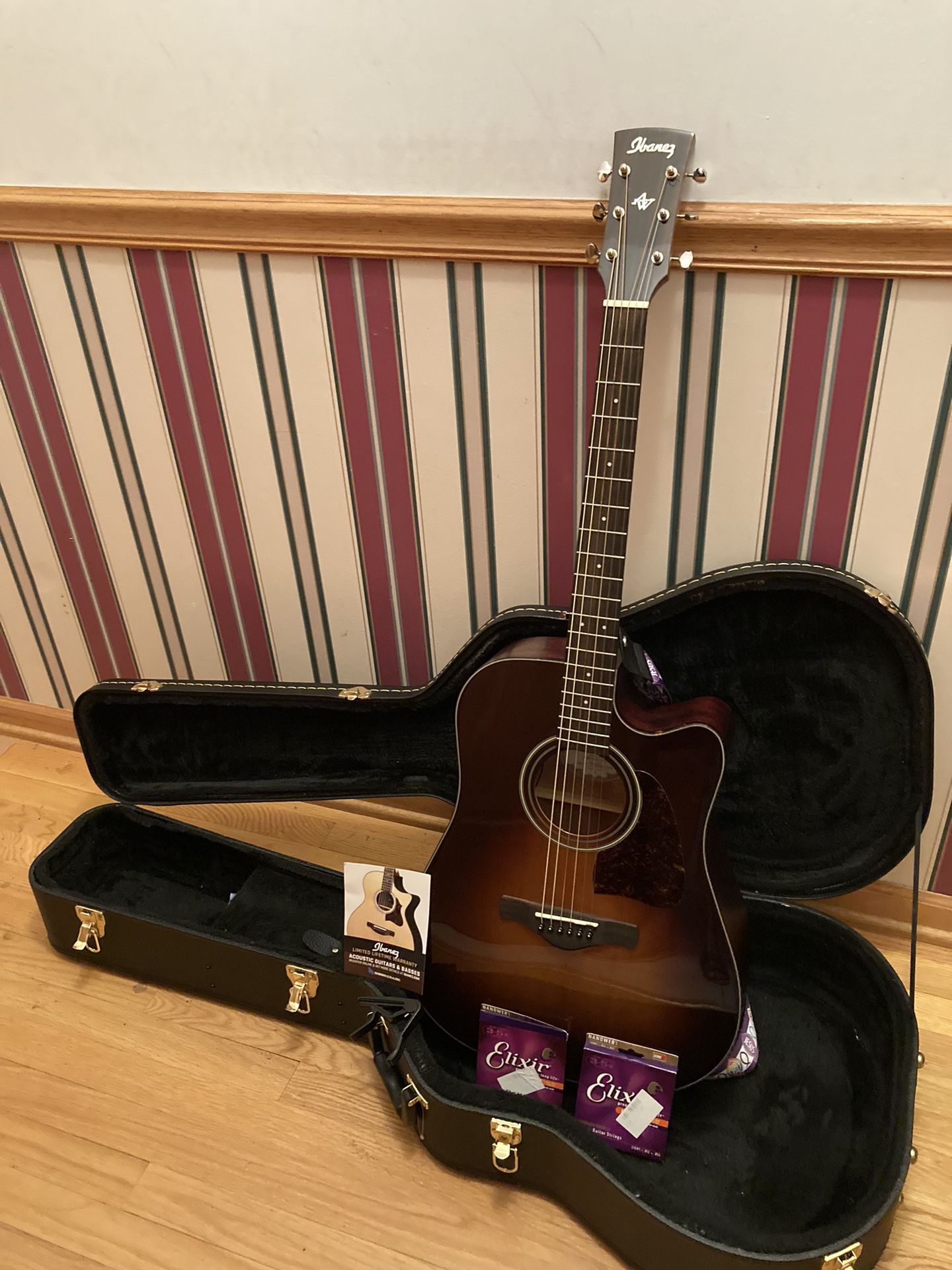 Ibanez Acoustic Electric Guitar