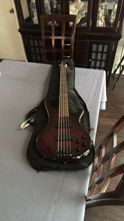 5-String Electric Bass Guitar with Case