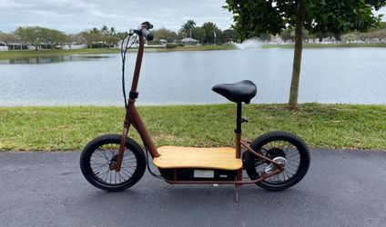 Razor Eco Smart Adult Scooter Upgraded 48v 