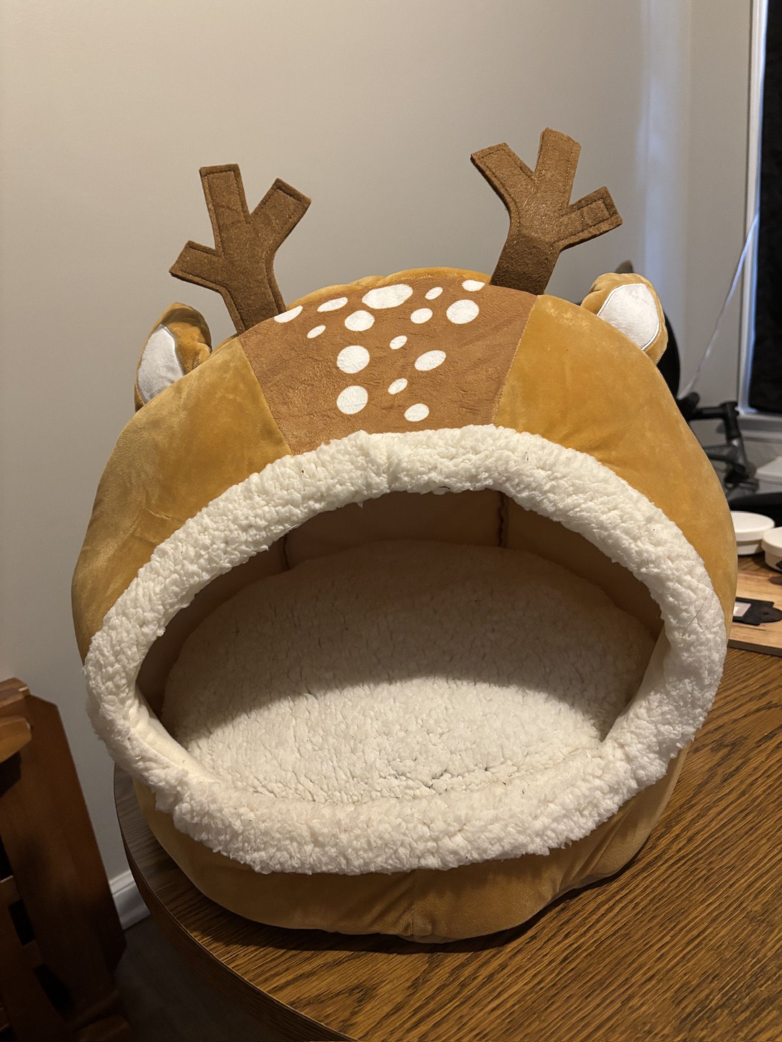 Cat Bed