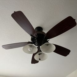 Ceiling Fan