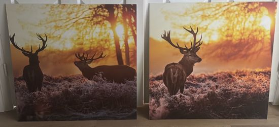 Two big pictures from Germany