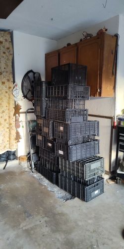 Plastic crates available have 33 in stock will take 25 for all 33 or 12 for $9