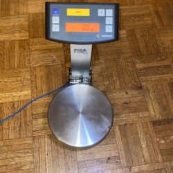  Sartorius Scale