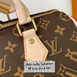Sophisticated Louis Vuitton Speedy Bag