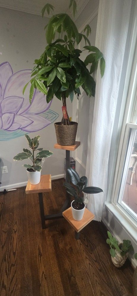 3 Tier Plant Stand