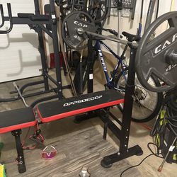 Bench with bar and plates
