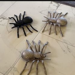 Halloween Spiders