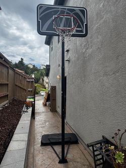 Lifetime Portable Basketball Hoop