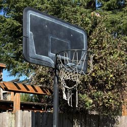 Basketball Hoop FREE