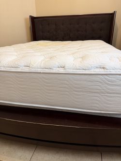 Queen Upholstered Chocolate Brown Suede Solid Wood Bed-Frame
