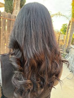 Highlights