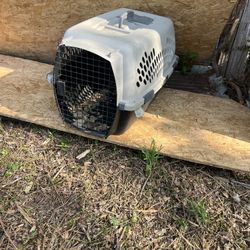 Dog Crate 
