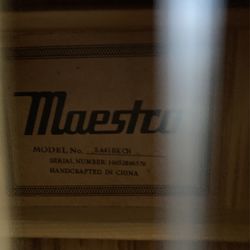Maestro Acoustic Guitar