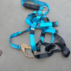 Harness With Attached Lanyard 