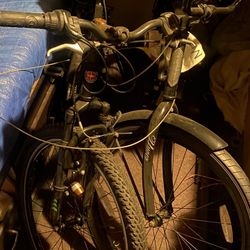 Mountain Bike And Beach Cruiser