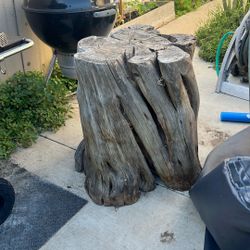Tree Stump