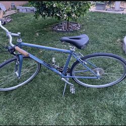 Trek Alwood  mountain bike. 20 inch frame