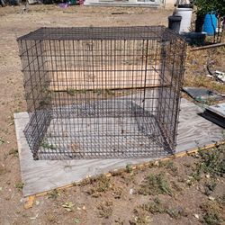 XL Large cage
