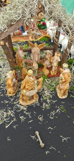 Nacimiento 6"