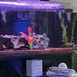 Free Aquariam Supplies
