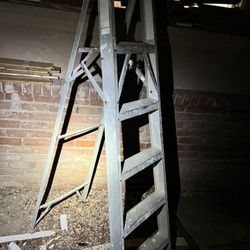 6ft Ladder 